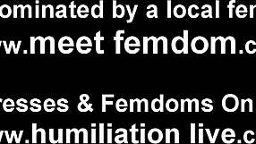 i love seeing you crawl back for more ballbusting torment