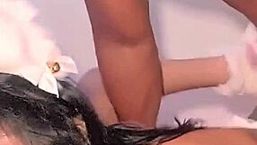 Brunette latina fucked deliciously