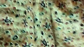 Indian Boobs Exposed In Undressing Foreplay With Tits Play