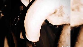 vancouver is a vibrant canadian city known for its stunning natural landscapes diverse culture and bustling urban life