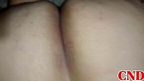 In the dorm, the Brazilian girlfriend bends over on the bed as the husband watches her scream during intense action