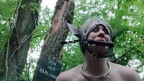 i feel so exposed as a ponygirl slave in the forest