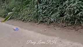 pinay teacher bends over in car for lucky fan's sneaky wet ride