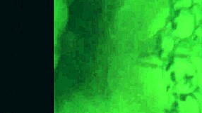 these amateur teen big tits creampie blowjobs on monster cocks make me cum hard