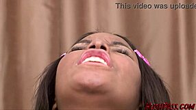 busty ebony candice moans riding white cock cowgirl with pigtails bouncing sloppy pussy grip