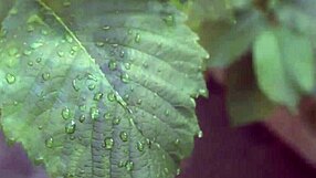 i had such a rough day but now im riding his cock for deep sensual anal with doggystyle and blowjob too