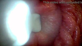 endoscope reveals penis weak spots for ultimate humiliation tease