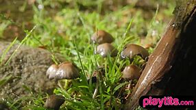 big ass curvy swiss milf bombshell strips slow in garden ripping clothes off