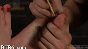 trapped in tiny cage four girls crave total domination