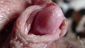 amateur homemade big clit throbs through intense orgasm contractions close-up