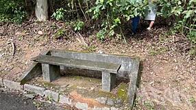 naughty milf begs for anal fuck deep in park forest