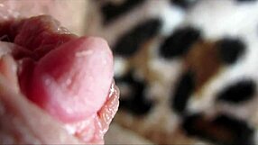 watch this huge clit throb through intense orgasm closeup