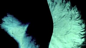 Vintage Lesbians Dive Into Hairy Muffs And Beavers