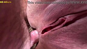 Ali Allure, wanna see my anal dildo pounding and squirting housewife trailer?