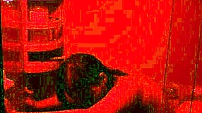 shower slut craves bbc stretch but will she take it all?