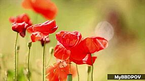 Lexi Dona rams Jenny Appach's tight asshole outdoors before fingering her to orgasm in 4K!