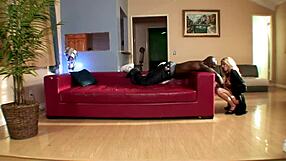 the big tits blonde milf cougar mom spreads wide as black big cock pounds her doggystyle on bed.