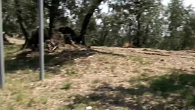 Homemade amateur milf slut bent over big ass pussy fuck with two wet girls