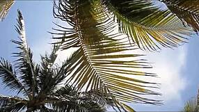 i spend spring break fucking sexy step aunt coco vandi doggystyle creampie