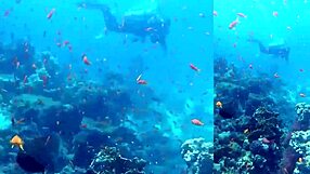 Yacht outdoor creampie with skinny big ass girlfriend tight pussy