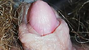 बालों वाली चूत से ग्रूल टपकता विशालकाय क्लिट क्लोजअप टीज में