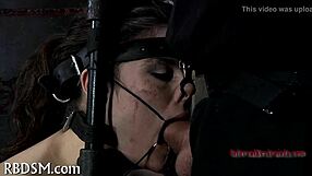 Get ready for them hardcore moments and enjoy our FREE PORN VIDEOS